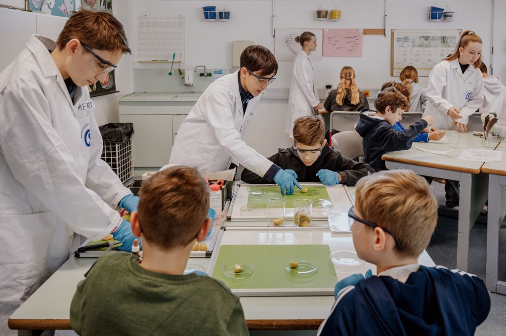 Schüler experimentieren bei NaWi-Workshop am Tag der offenen Tür